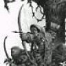 Setaza